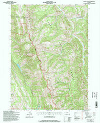 Bailey Lake Wyoming Historical topographic map, 1:24000 scale, 7.5 X 7.5 Minute, Year 1996