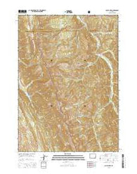 Bailey Lake Wyoming Current topographic map, 1:24000 scale, 7.5 X 7.5 Minute, Year 2015