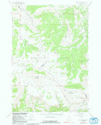 Bald Mountain Wyoming Historical topographic map, 1:24000 scale, 7.5 X 7.5 Minute, Year 1960
