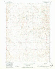 Baldy Mountain Wyoming Historical topographic map, 1:24000 scale, 7.5 X 7.5 Minute, Year 1955