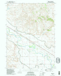 Barnes Wyoming Historical topographic map, 1:24000 scale, 7.5 X 7.5 Minute, Year 1990