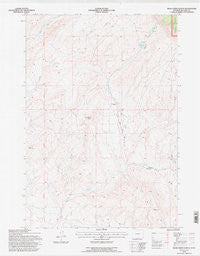 Bear Creek Ranch Wyoming Historical topographic map, 1:24000 scale, 7.5 X 7.5 Minute, Year 1993