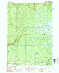 Bechler Falls Wyoming Historical topographic map, 1:24000 scale, 7.5 X 7.5 Minute, Year 1989