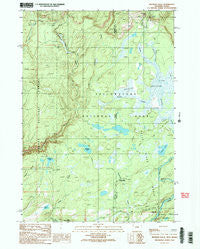 Bechler Falls Wyoming Historical topographic map, 1:24000 scale, 7.5 X 7.5 Minute, Year 1989
