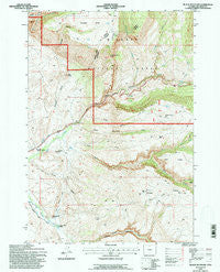 Black Mountain Wyoming Historical topographic map, 1:24000 scale, 7.5 X 7.5 Minute, Year 1993