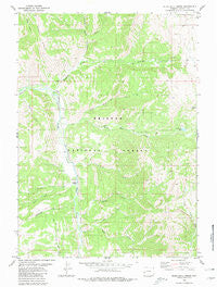 Blind Bull Creek Wyoming Historical topographic map, 1:24000 scale, 7.5 X 7.5 Minute, Year 1980