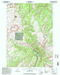 Blue Miner Lake Wyoming Historical topographic map, 1:24000 scale, 7.5 X 7.5 Minute, Year 1996
