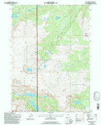 Bob Lakes Wyoming Historical topographic map, 1:24000 scale, 7.5 X 7.5 Minute, Year 1991
