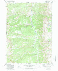 Box Canyon Creek Wyoming Historical topographic map, 1:24000 scale, 7.5 X 7.5 Minute, Year 1980