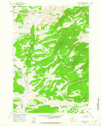 Boyd Ridge Wyoming Historical topographic map, 1:24000 scale, 7.5 X 7.5 Minute, Year 1960