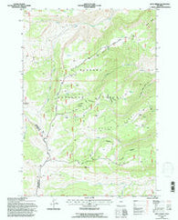 Boyd Ridge Wyoming Historical topographic map, 1:24000 scale, 7.5 X 7.5 Minute, Year 1993