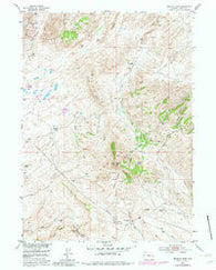 Bradley Peak Wyoming Historical topographic map, 1:24000 scale, 7.5 X 7.5 Minute, Year 1953
