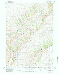 Bridger Pass Wyoming Historical topographic map, 1:24000 scale, 7.5 X 7.5 Minute, Year 1983