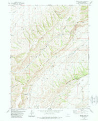 Bridger Pass Wyoming Historical topographic map, 1:24000 scale, 7.5 X 7.5 Minute, Year 1983