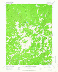 Bridger Peak Wyoming Historical topographic map, 1:24000 scale, 7.5 X 7.5 Minute, Year 1961
