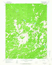 Bridger Peak Wyoming Historical topographic map, 1:24000 scale, 7.5 X 7.5 Minute, Year 1961
