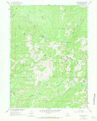 Bridger Peak Wyoming Historical topographic map, 1:24000 scale, 7.5 X 7.5 Minute, Year 1961