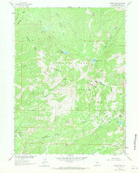 Bridger Peak Wyoming Historical topographic map, 1:24000 scale, 7.5 X 7.5 Minute, Year 1961
