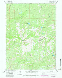Bridger Peak Wyoming Historical topographic map, 1:24000 scale, 7.5 X 7.5 Minute, Year 1983