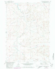 Bringolf Ranch Wyoming Historical topographic map, 1:24000 scale, 7.5 X 7.5 Minute, Year 1958