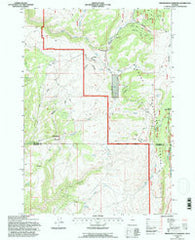 Brokenback Narrows Wyoming Historical topographic map, 1:24000 scale, 7.5 X 7.5 Minute, Year 1993