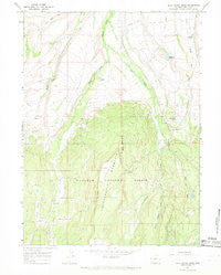 Buck Fever Ridge Wyoming Historical topographic map, 1:24000 scale, 7.5 X 7.5 Minute, Year 1964