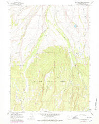 Buck Fever Ridge Wyoming Historical topographic map, 1:24000 scale, 7.5 X 7.5 Minute, Year 1964