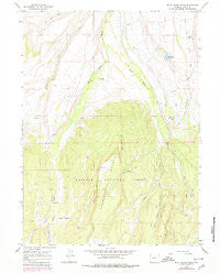 Buck Fever Ridge Wyoming Historical topographic map, 1:24000 scale, 7.5 X 7.5 Minute, Year 1964