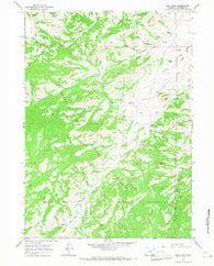Buck Peak Wyoming Historical topographic map, 1:24000 scale, 7.5 X 7.5 Minute, Year 1964