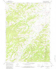 Buck Peak Wyoming Historical topographic map, 1:24000 scale, 7.5 X 7.5 Minute, Year 1964