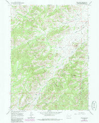 Buck Peak Wyoming Historical topographic map, 1:24000 scale, 7.5 X 7.5 Minute, Year 1964