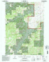 Buck Peak Wyoming Historical topographic map, 1:24000 scale, 7.5 X 7.5 Minute, Year 1992