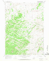 Buffalo Peak Wyoming Historical topographic map, 1:24000 scale, 7.5 X 7.5 Minute, Year 1964