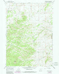 Buffalo Peak Wyoming Historical topographic map, 1:24000 scale, 7.5 X 7.5 Minute, Year 1964