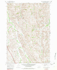 Buffalo Run Creek Wyoming Historical topographic map, 1:24000 scale, 7.5 X 7.5 Minute, Year 1967