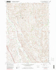 Buffalo Run Creek Wyoming Historical topographic map, 1:24000 scale, 7.5 X 7.5 Minute, Year 1967