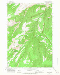 Bull Elk Park Wyoming Historical topographic map, 1:24000 scale, 7.5 X 7.5 Minute, Year 1964
