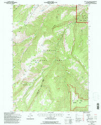 Bull Elk Park Wyoming Historical topographic map, 1:24000 scale, 7.5 X 7.5 Minute, Year 1993