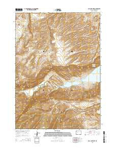Bull Lake West Wyoming Current topographic map, 1:24000 scale, 7.5 X 7.5 Minute, Year 2015