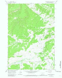 Burgess Junction Wyoming Historical topographic map, 1:24000 scale, 7.5 X 7.5 Minute, Year 1964