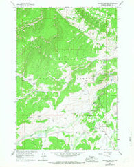 Burgess Junction Wyoming Historical topographic map, 1:24000 scale, 7.5 X 7.5 Minute, Year 1964
