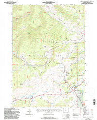 Burgess Junction Wyoming Historical topographic map, 1:24000 scale, 7.5 X 7.5 Minute, Year 1993