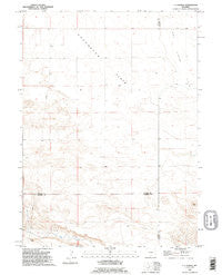 C S Ranch Wyoming Historical topographic map, 1:24000 scale, 7.5 X 7.5 Minute, Year 1990
