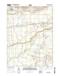 Caldwell Lake Wyoming Current topographic map, 1:24000 scale, 7.5 X 7.5 Minute, Year 2015
