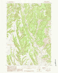 Cambria Wyoming Historical topographic map, 1:24000 scale, 7.5 X 7.5 Minute, Year 1984