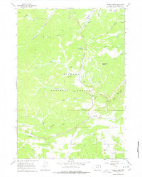 Caribou Creek Wyoming Historical topographic map, 1:24000 scale, 7.5 X 7.5 Minute, Year 1967