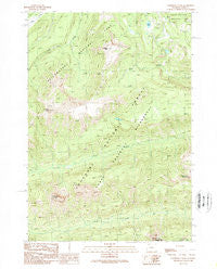 Cathedral Peak Wyoming Historical topographic map, 1:24000 scale, 7.5 X 7.5 Minute, Year 1989