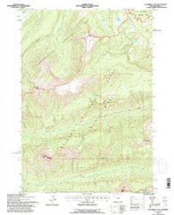 Cathedral Peak Wyoming Historical topographic map, 1:24000 scale, 7.5 X 7.5 Minute, Year 1991