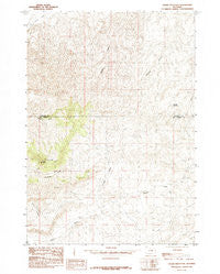 Cedar Mountain Wyoming Historical topographic map, 1:24000 scale, 7.5 X 7.5 Minute, Year 1985