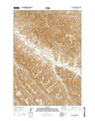 Cedar Canyon Wyoming Current topographic map, 1:24000 scale, 7.5 X 7.5 Minute, Year 2015